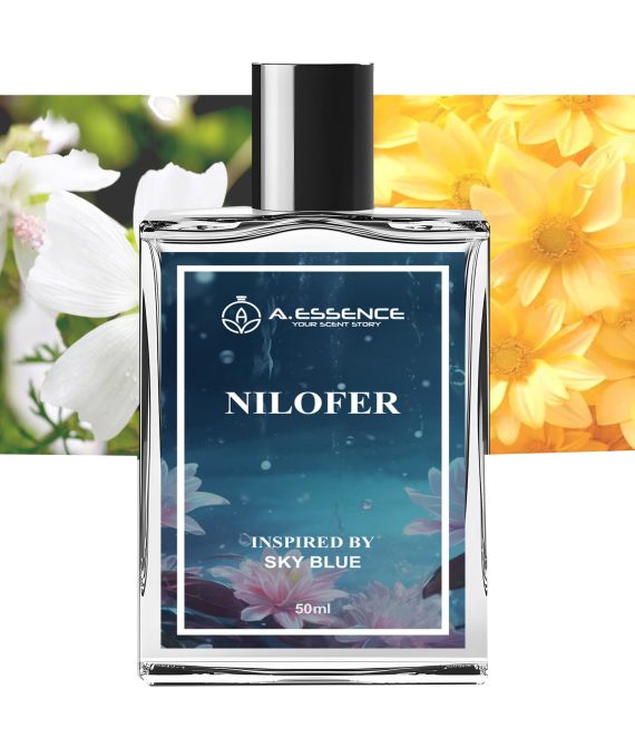 NILOFER Inspired by SKY BLUE