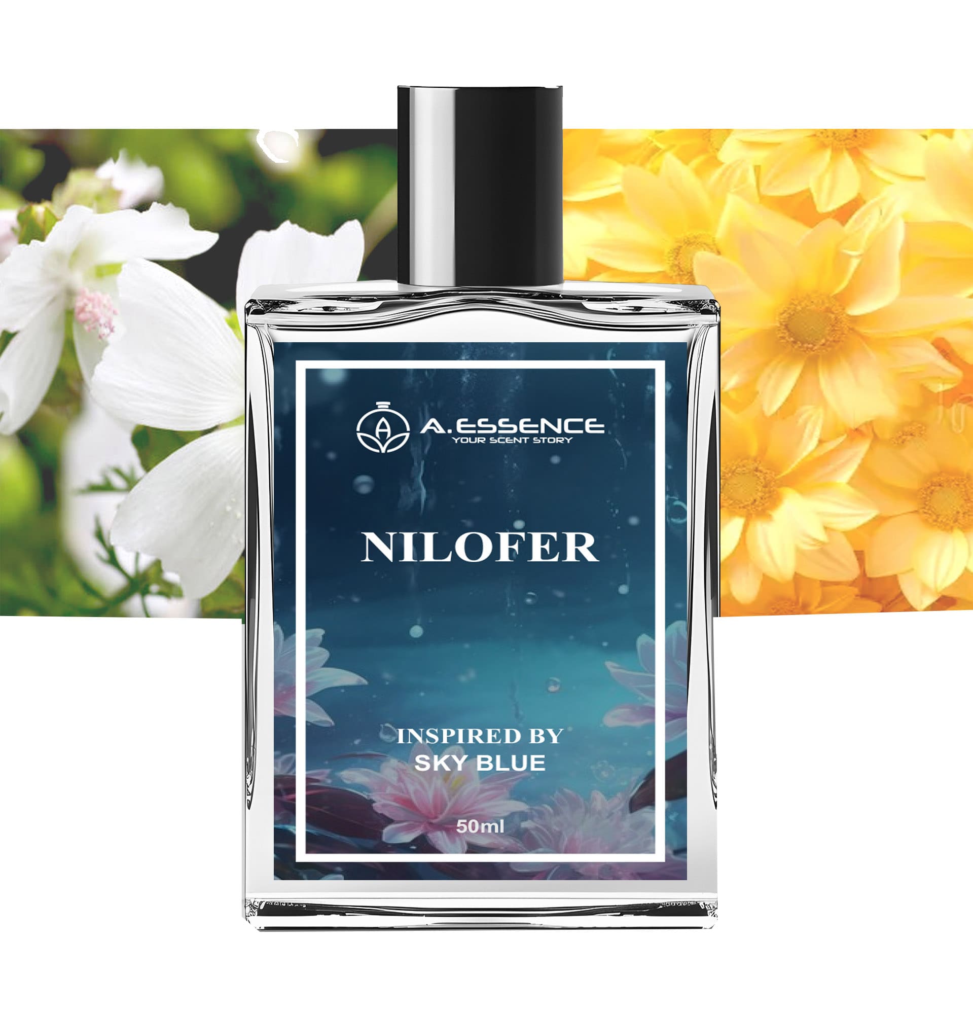 NILOFER Inspired by SKY BLUE